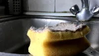 Cât de des trebuie schimbat, de fapt, un burete de vase, altfel duce la salmonella? 9 greșeli de evitat