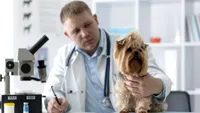 Agenția pentru Protecția Mediului, decisă să pună capăt testelor pe animale. Anul 2035, de cotitură (VIDEO)