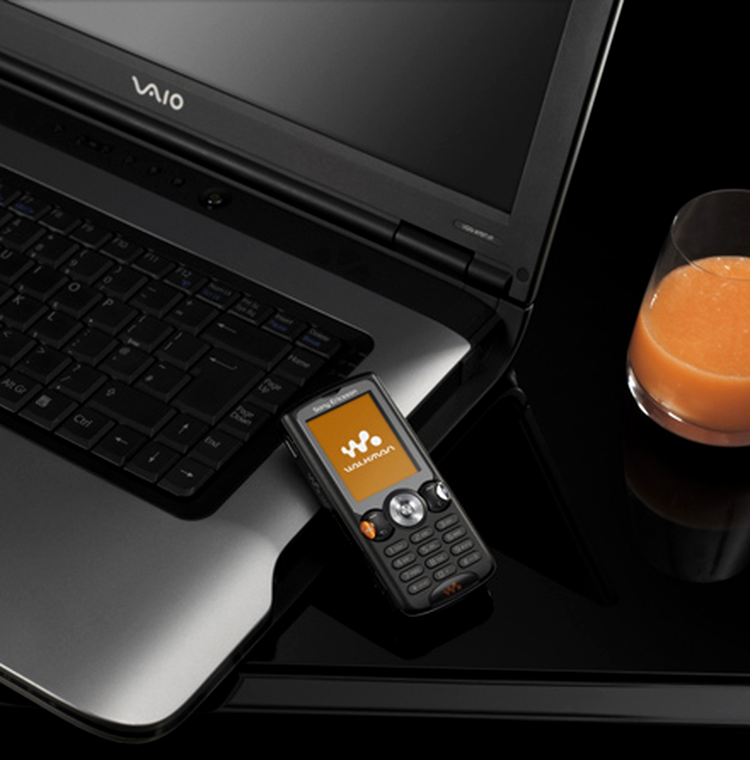W810i