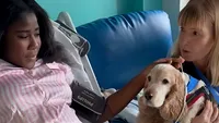 Terapia cu câini în spitale: De ce Skyler este eroul pe patru lăbuțe al copiilor (VIDEO)