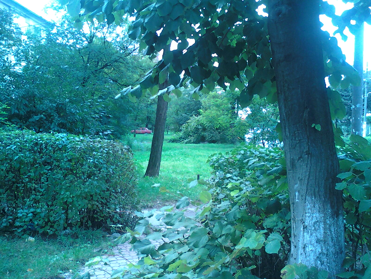 Baia Mare, poza LG KS360
