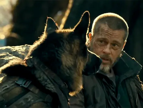 Brad Pitt și-a lăudat partenerul canin din noul său film „Heart of the Beast”
