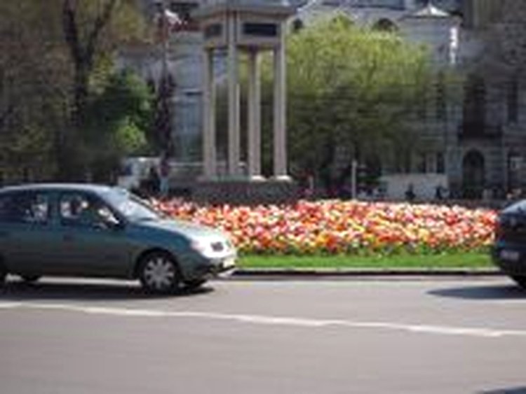 Auto, ISO 100