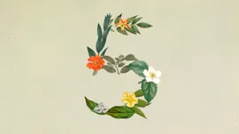 Anthropic lansează Claude Sonnet 5, un model AI mai accesibil, dar apropiat de performanța Opus