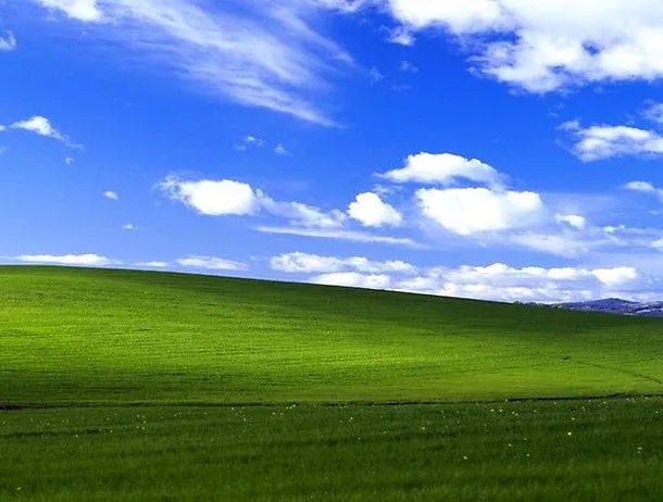 A conectat la internet un PC cu Windows XP în 2024. În câteva minute calculatorul s-a umplut cu viruși