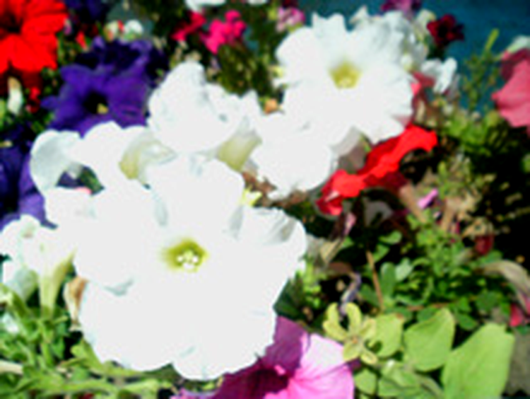 N93i