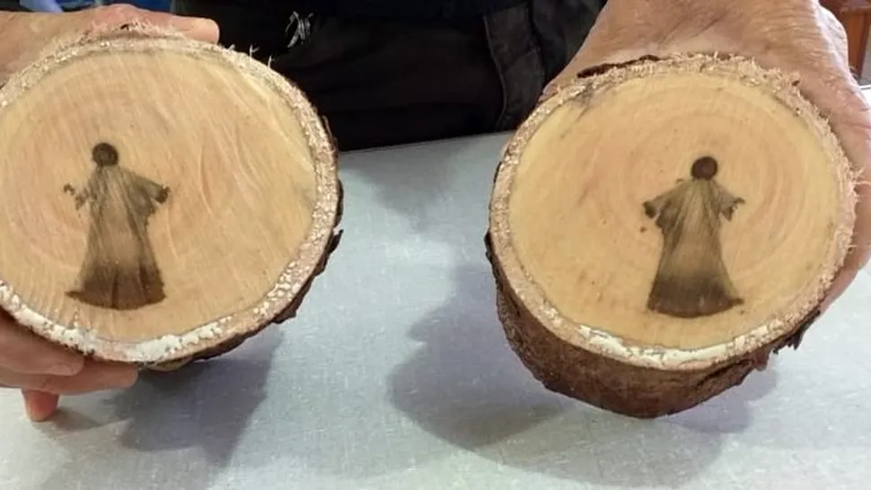 Un bărbat crede că a descoperit imaginea lui Iisus într-o creangă de copac - FOTO