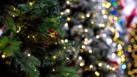 Când să ții luminițele din pomul de Crăciun pornite să nu îți umfle factura la curent