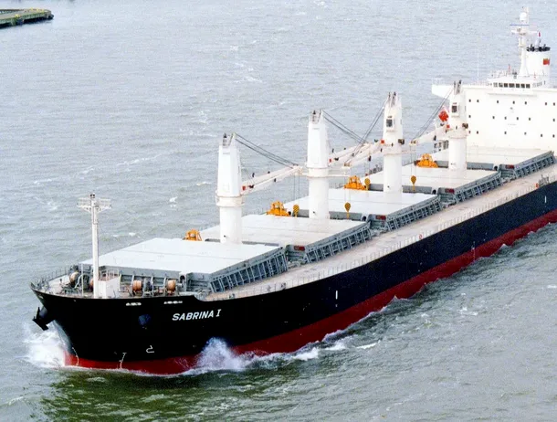 O tactică din Al Doilea Război Mondial ar putea reveni în războiul din Ucraina. Ce tehnologii vor rușii să monteze pe navele de grâne