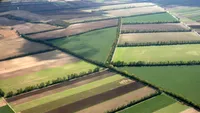 Proprietarii de teren din România sunt blocați. Legea îți interzice, chiar dacă ai cumpărat legal terenul