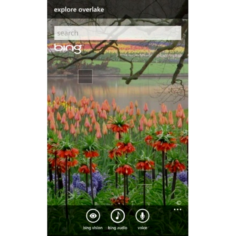 Windows Phone 7.5 Mango - update-ul aşteptat anul acesta