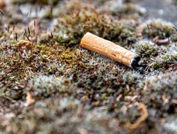 Mucurile de țigară, transformate în elemente pentru baterii de cercetători chinezi