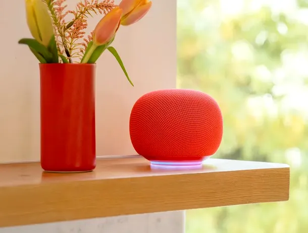 Google Home Speaker, o boxă integrată în Gemini for Home