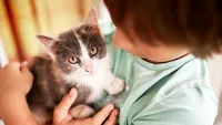 Nu îți permiți un animal de companie? Centrele de terapie asistată de câini, cai și pisici, tot mai căutate în România