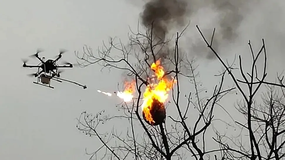 VIDEO: Dronă cu aruncător de flăcări, folosită pentru a distruge cuiburi de viespi