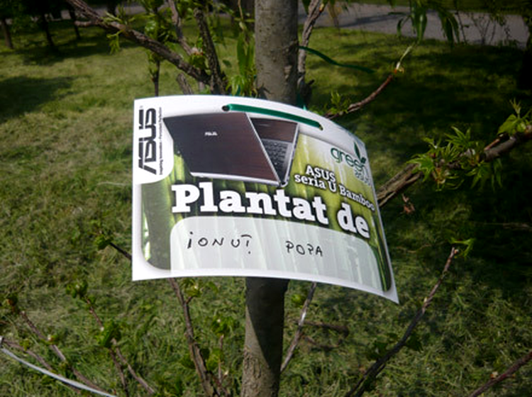 Copacul plantat de go4it