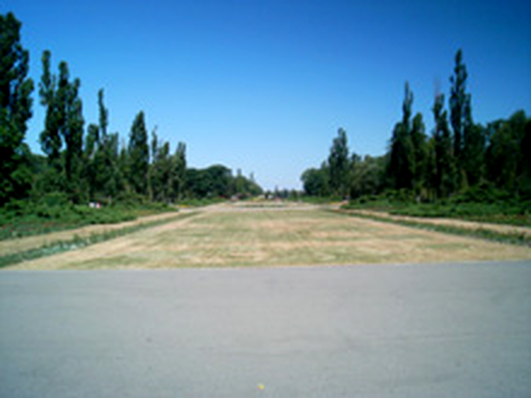 N93i