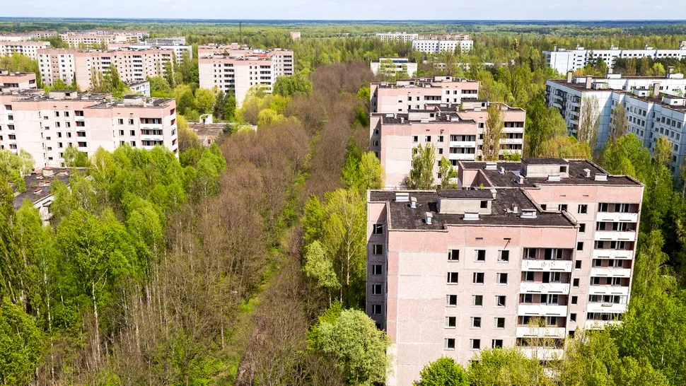 „Spiritele” prosperă acolo: Descoperire surprinzătoare făcută la Cernobîl la 40 de ani de la dezastrul nuclear