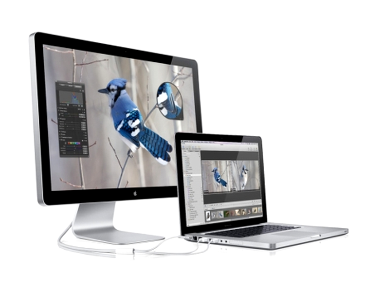 Apple LED Cinema de 24” - un monitor cu utilizare limitata
