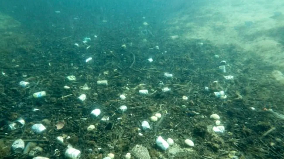 Punctul Nemo, cel mai izolat loc de pe planetă, este şi el poluat cu plastic