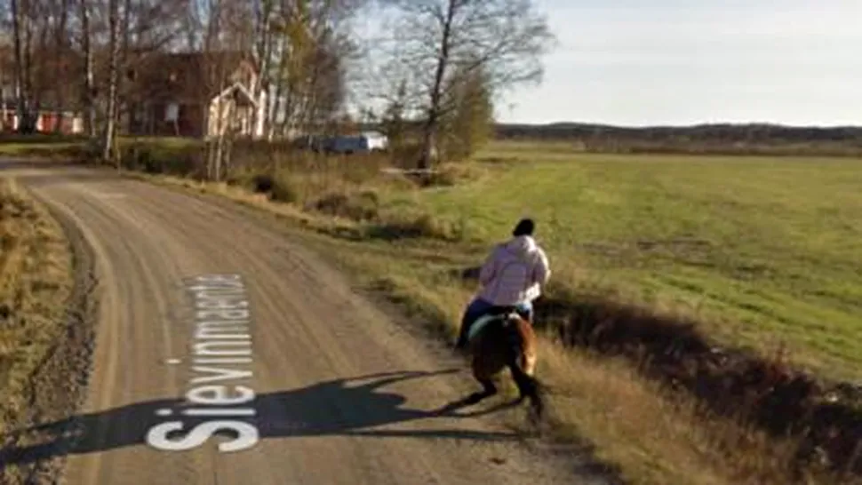 Momentul amuzant când un cal a întâlnit o maşină Google Street View