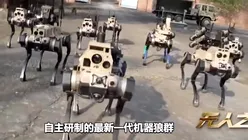 Roboții-câini, care operează autonom ca o „haită de lupi”, au fost testați în China – VIDEO