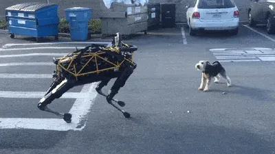 Prima confruntare Câine VS Spot, robotul patruped dezvoltat de Boston Dynamics