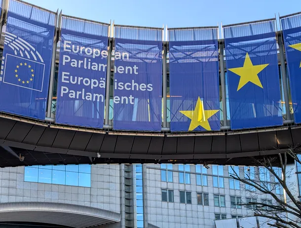 ONG-uri: Giganții tehnologici americani se aliază cu extrema dreaptă europeană pentru a slăbi reglementările UE