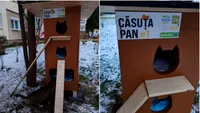 Premieră în Sibiu: a fost montată prima căsuță pentru pisici comunitare (FOTO)