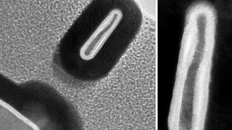 O descoperire făcută de cercetătorii MIT ar putea dubla numărul de tranzistori acomodaţi pe chip-urile de siliciu