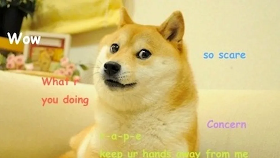 Mema cu „Doge” se vinde ca NFT pentru 4 milioane de dolari
