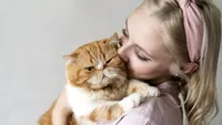 Pisicile chiar își iubesc stăpânii? Ce au descoperit oamenii de știință și de ce nu trebuie comparate cu câinii