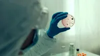 Focar de norovirus pe o navă de croazieră din Caraibe: peste 100 de persoane infectate. Cum diferă de Covid-19 și Hantavirus