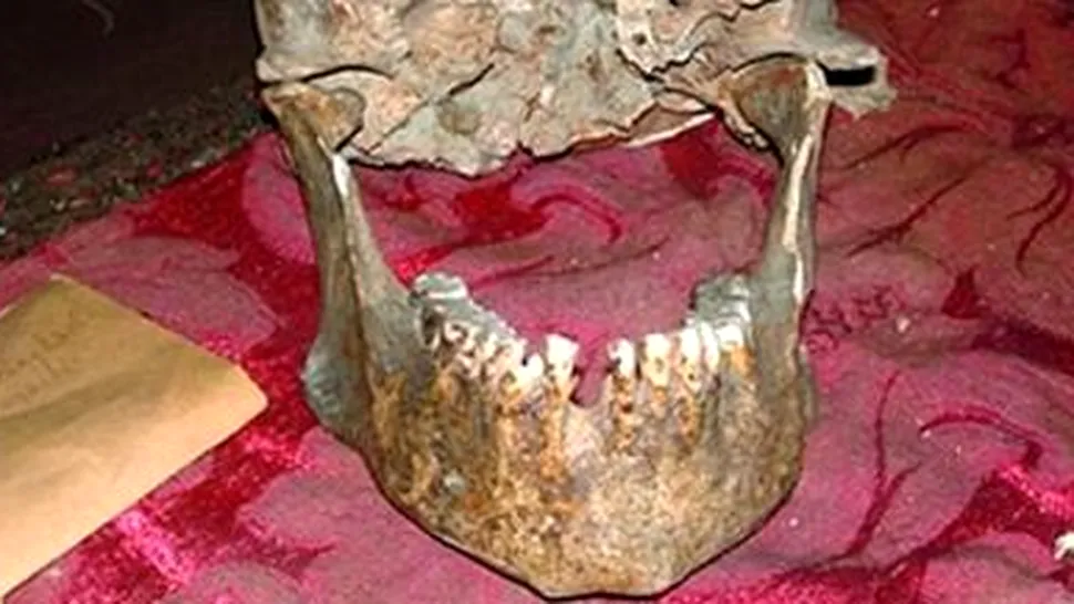 Cercetătorii cred că au găsit craniul lui Pliniu cel Bătrân la Pompeii