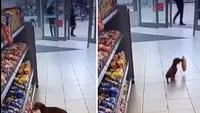 Viralul zilei | Hoțul cu patru lăbuțe: un câine „cârnăcior” intră în supermarket, fură chipsuri și o rupe la fugă sub ochii paznicului