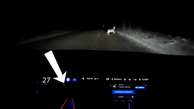 VIDEO: Cum reacționează o mașină Tesla cu Full Self-Driving când în față îi apare o căprioară
