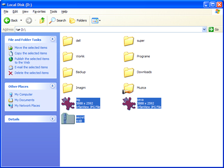 Windows Explorer