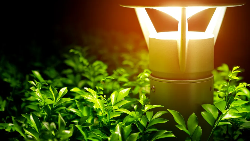 Lămpile solare și plantele: O combinație bună sau dăunătoare?