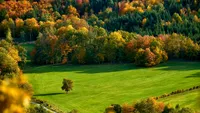 Prognoza meteo pentru toamnă: ce indică calendarul pe 100 de ani pentru septembrie, octombrie și noiembrie 2026
