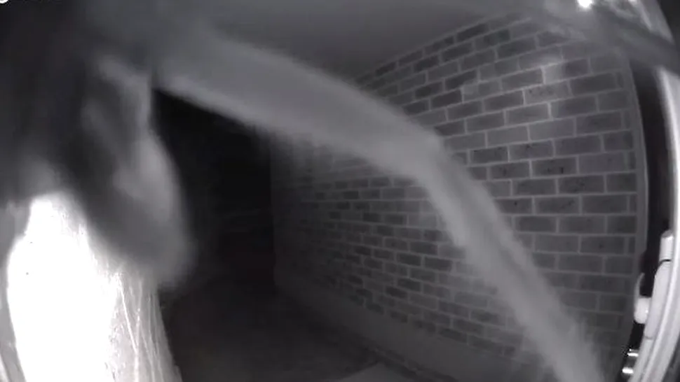 FOTO, VIDEO: Soneria inteligentă a unui bărbat a sunat la 02:00, declanșată de un vizitator total neașteptat