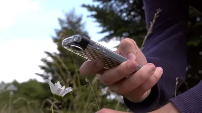 Aplicaţia „Shazam” pentru floră recunoaşte plantele pe care i le arăţi [VIDEO]