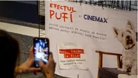 „Efectul Pufi” a ajuns în cinematografe. Cum a decurs avanpremiera primei comedii românești în care joacă animale de companie pregătite de adopție (FOTO)
