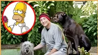 Bolnav de cancer în fază terminală, Sam Simon, creatorul serialului The Simpsons, și-a donat toată averea animalelor fără stăpân: „Simt că este responsabilitatea mea să vorbesc în numele lor”