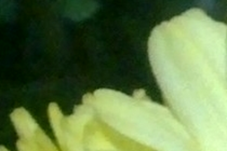 ISO 800