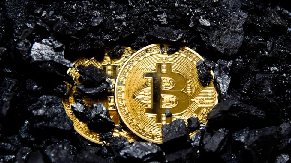 200 milioane de oameni tranzacționează bitcoin, însă dintre aceștia doar 6 sunt miliardari