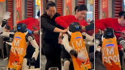 Un robot chelner a început să spargă farfurii i să danseze în mijlocul unui restaurant