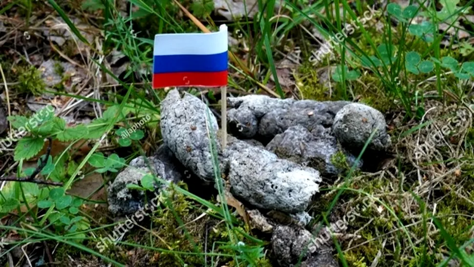 Shutterstock, blocat în Rusia pentru o fotografie cu steagul ţării înfipt în excremente de câine