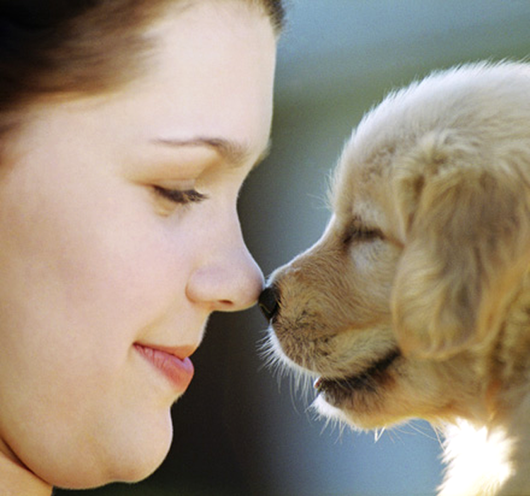Pets Love