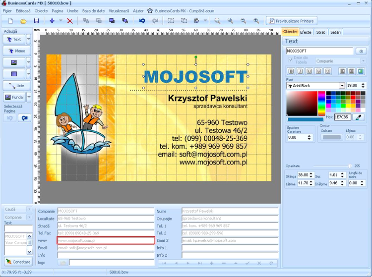 Business Cards MX