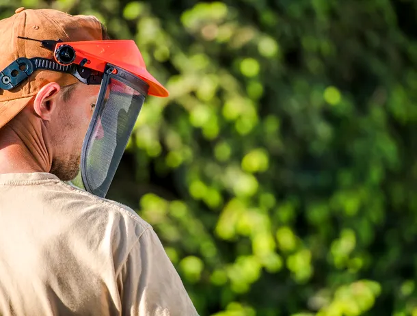 Scule Parkside fără fir la reducere în catalogul Kaufland. Cea mai căutată este deja indisponibilă